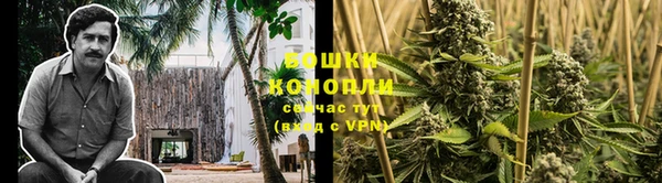гидра Лихославль
