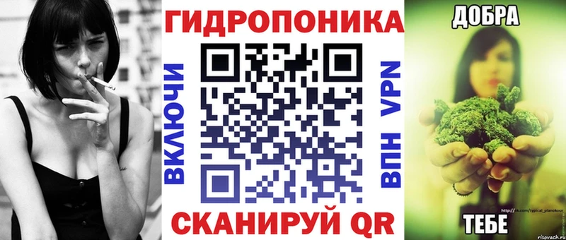 Бошки марихуана MAZAR  Купить где  Алзамай 